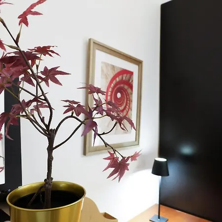 Primopiano - Amadeo 32 Milán